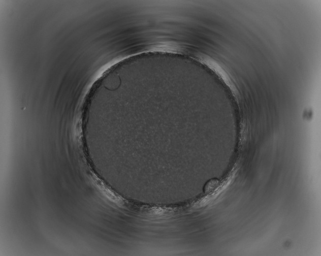 X0000100190923200806061255