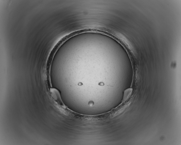 X0000100190924200806061255