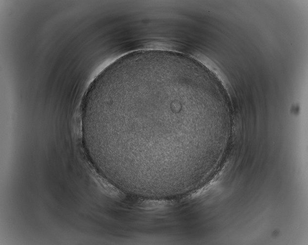 X0000100190925200806061255