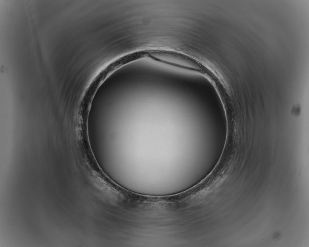 X0000100190926200806061255