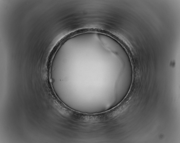 X0000100190927200806061255