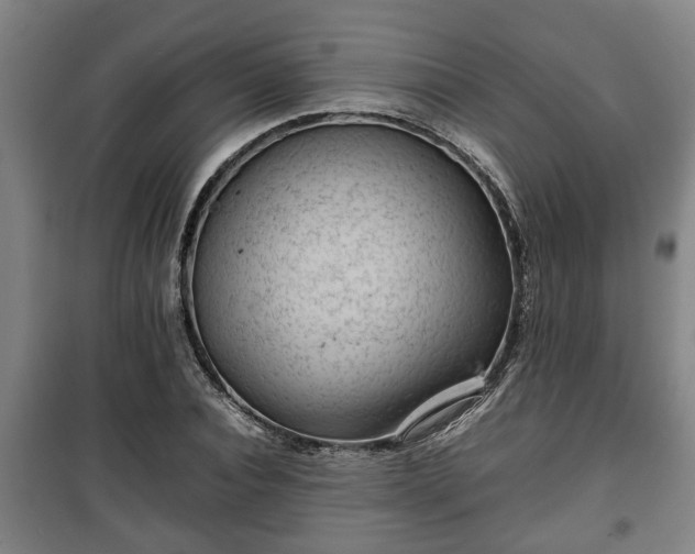 X0000100190928200806061255