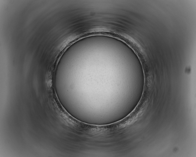 X0000100190929200806061255