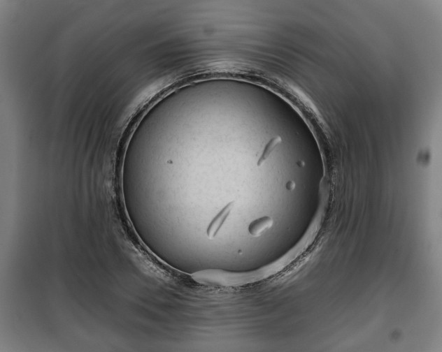 X0000100190930200806061255