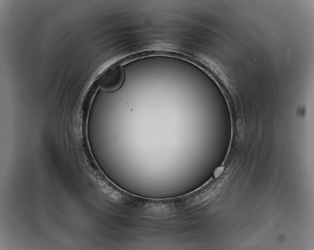 X0000100190931200806061255