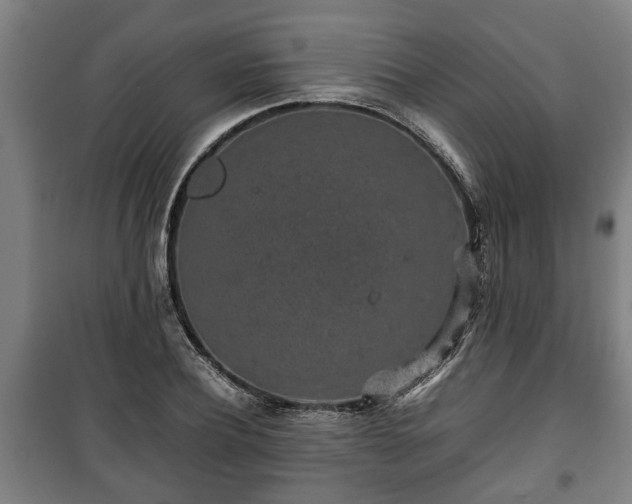 X0000100190932200806061255