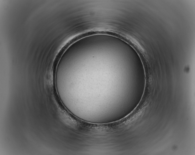 X0000100190934200806061255