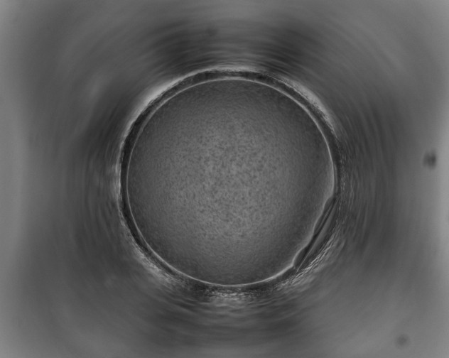 X0000100190935200806061255