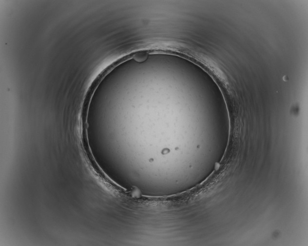 X0000100190936200806061255