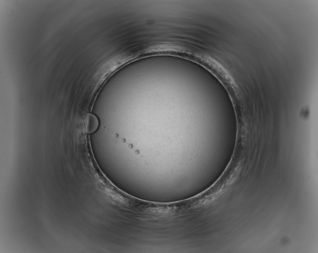 X0000100190937200806061255