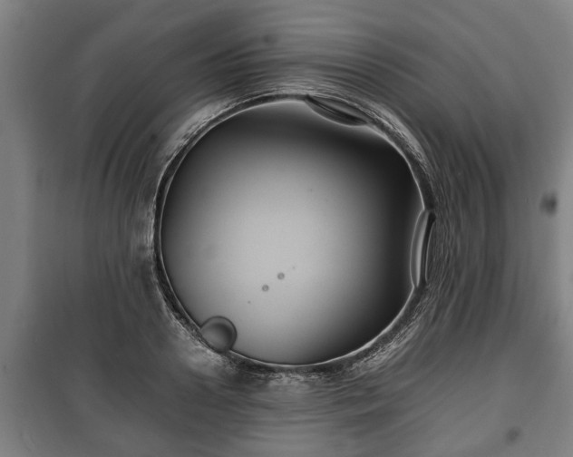 X0000100190938200806061255