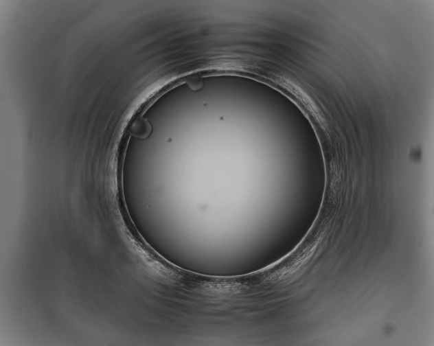 X0000100190939200806061255