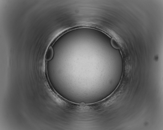 X0000100190940200806061255