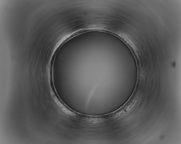 X0000100190941200806061255