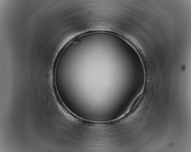 X0000100190942200806061255