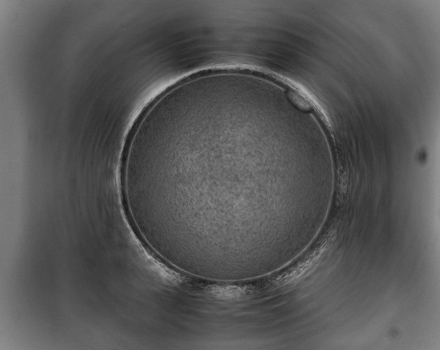 X0000100190943200806061255