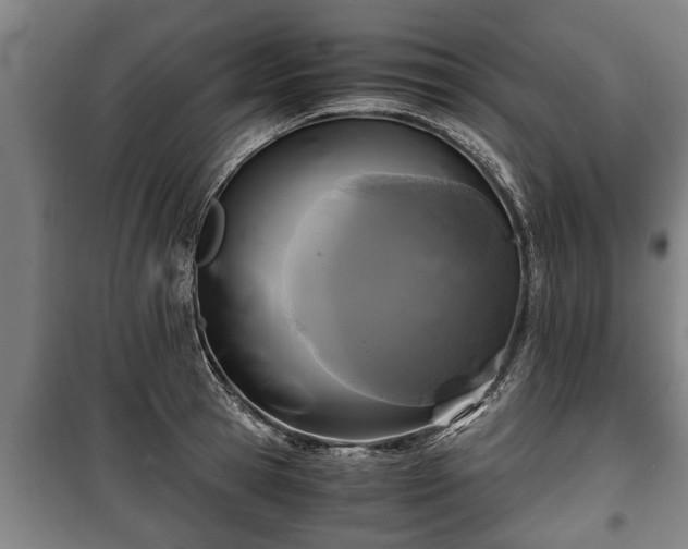 X0000100190945200806061255