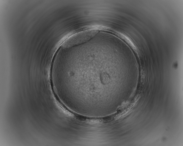 X0000100190946200806061255