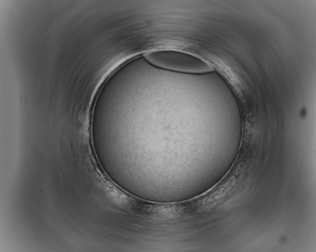 X0000100190948200806061255