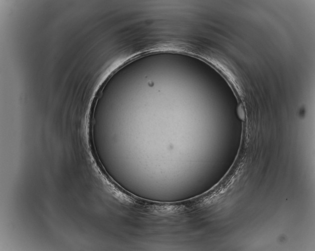 X0000100190949200806061255