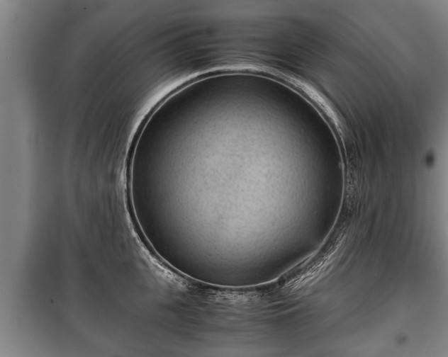 X0000100190951200806061255