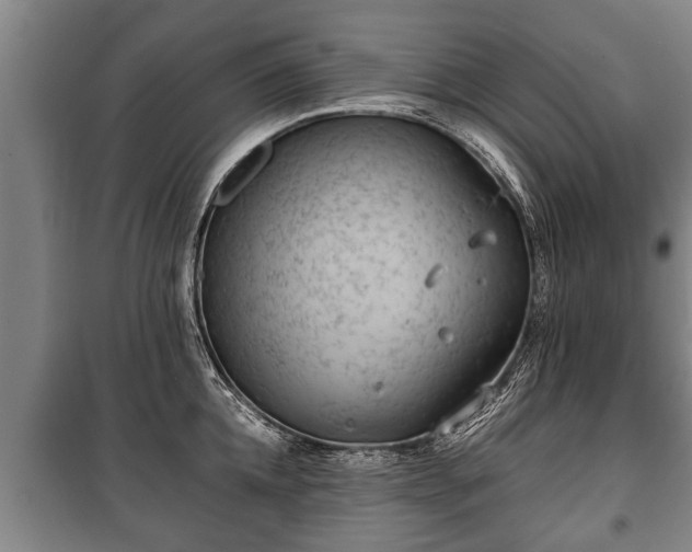 X0000100190952200806061255