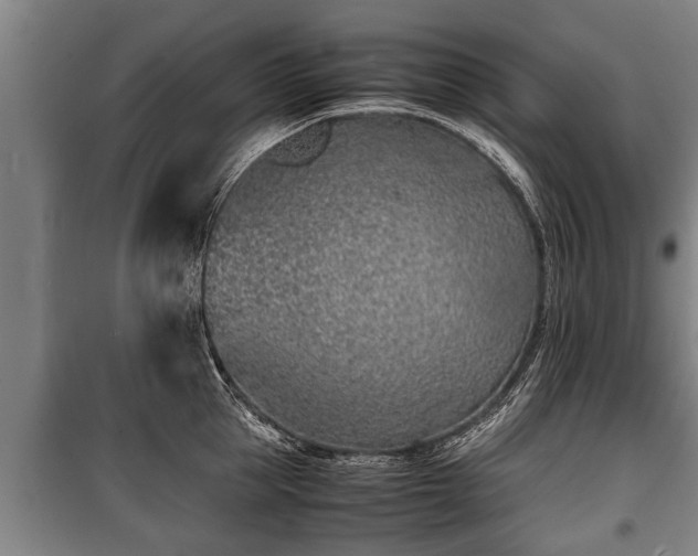 X0000100190953200806061255