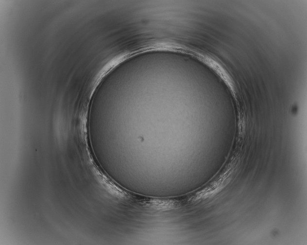 X0000100190954200806061255