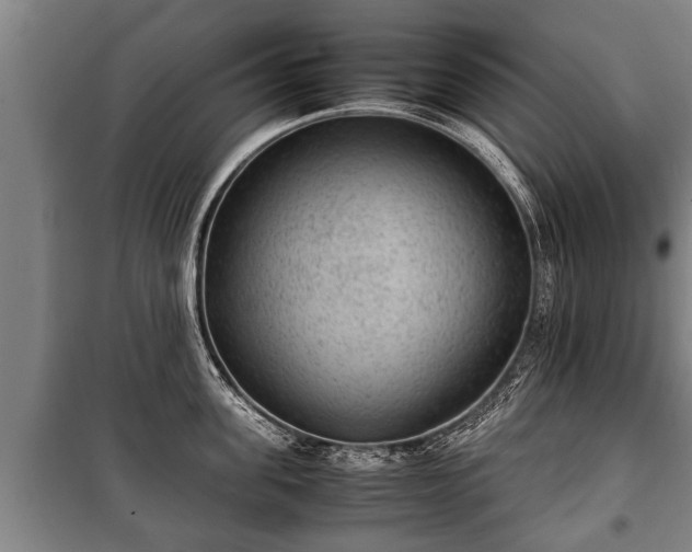 X0000100190955200806061255