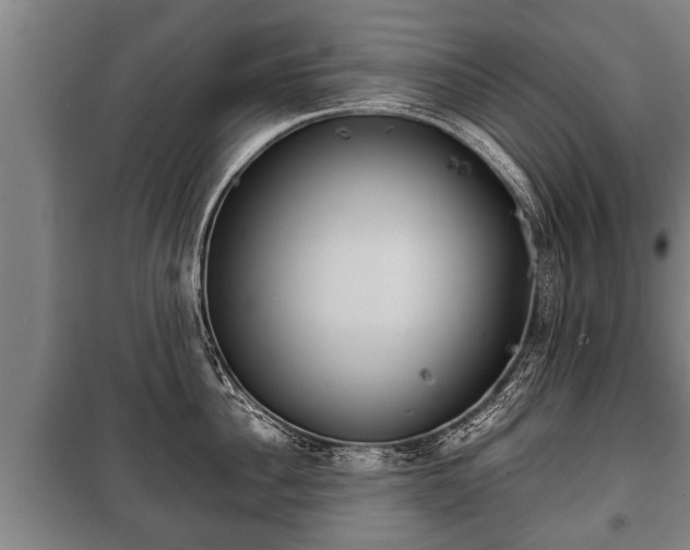 X0000100190956200806061255