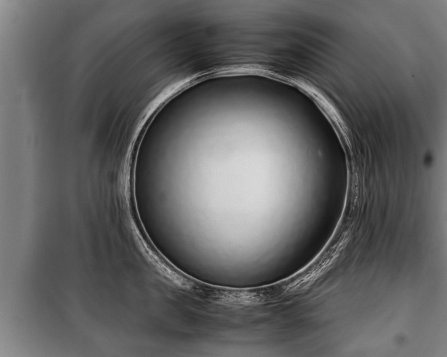 X0000100190957200806061255