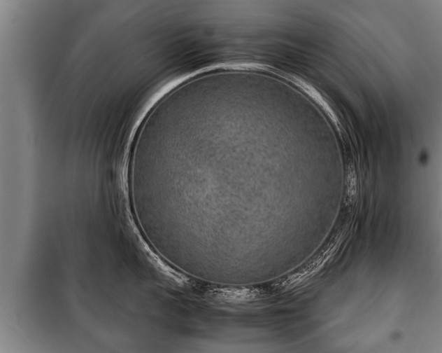 X0000100190959200806061255