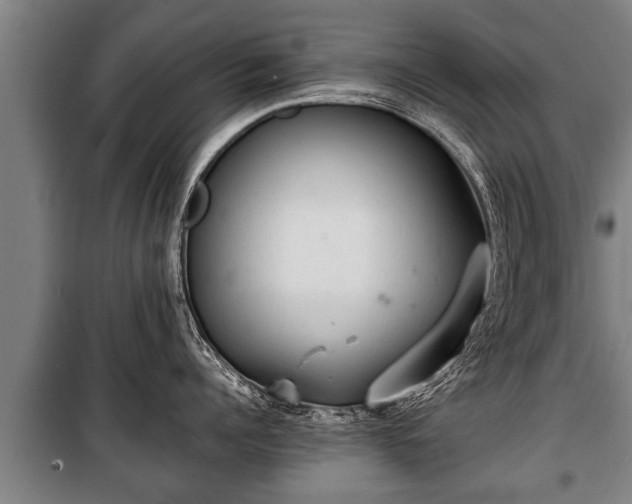 X0000100190960200806061255