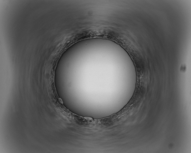 X0000100190961200806061254