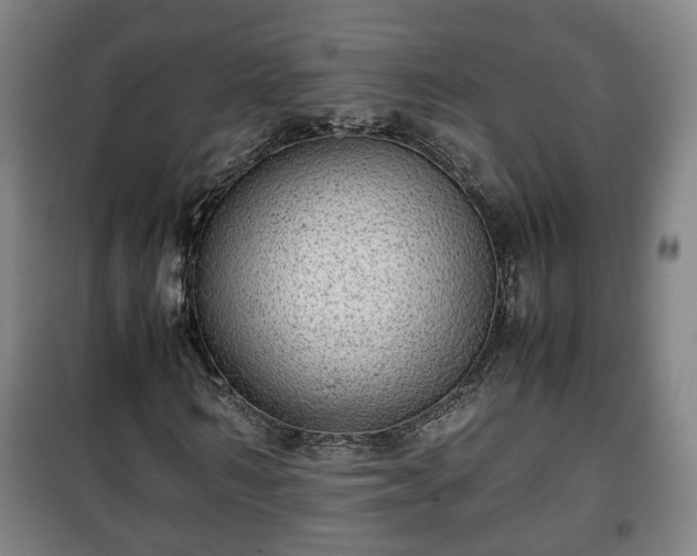 X0000100190962200806061254