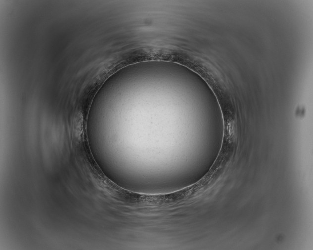 X0000100190963200806061254