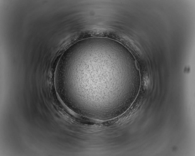 X0000100190964200806061254