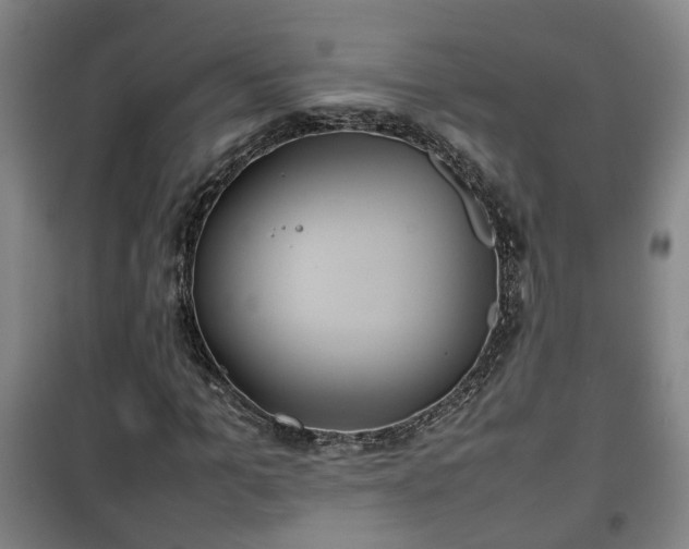 X0000100190965200806061254