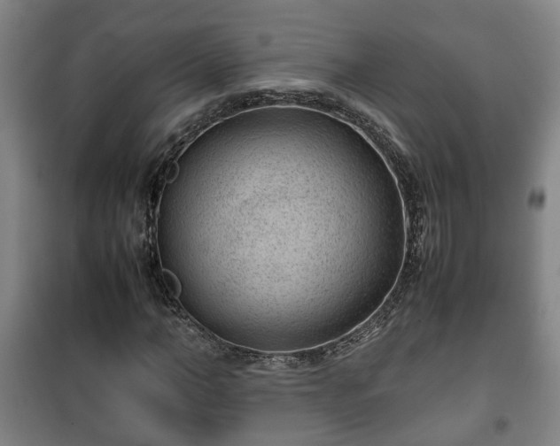 X0000100190966200806061254