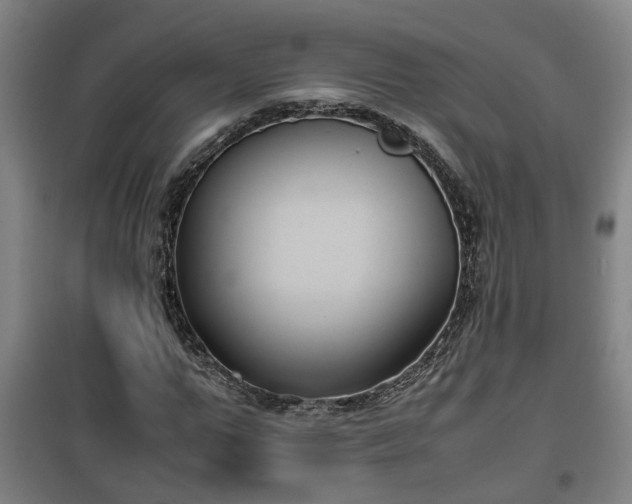 X0000100190967200806061254