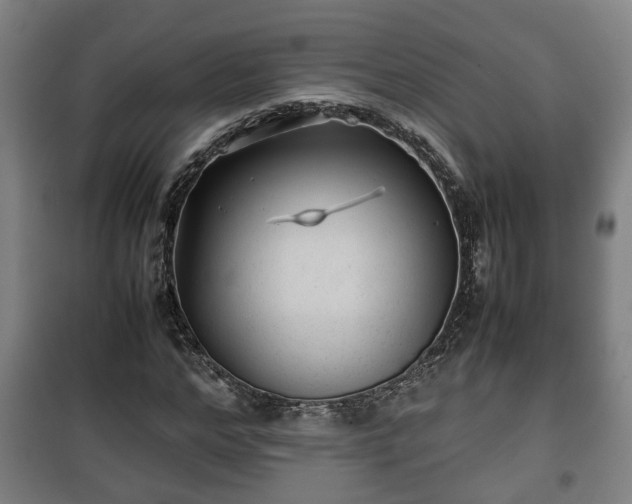 X0000100190968200806061254