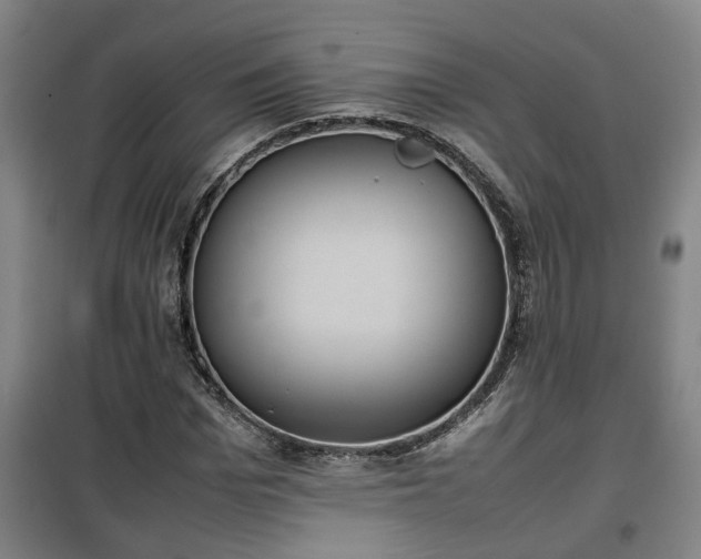 X0000100190969200806061254