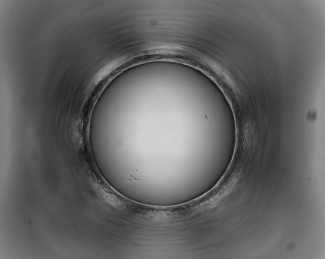 X0000100190970200806061254