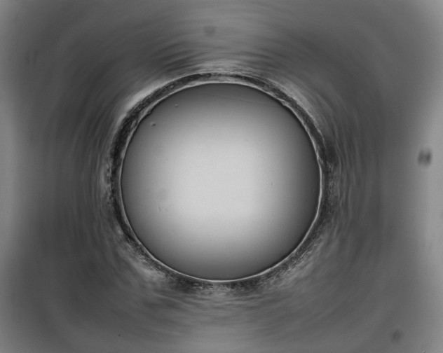 X0000100190971200806061254