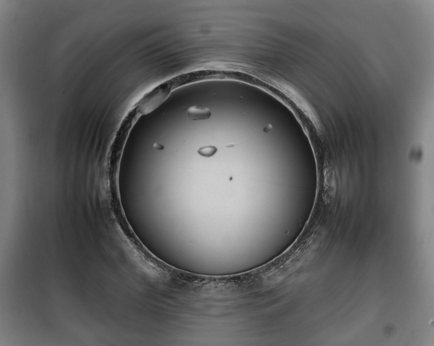 X0000100190972200806061254