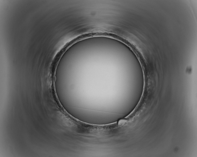 X0000100190973200806061254