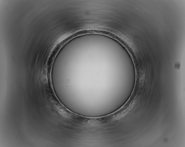 X0000100190974200806061254