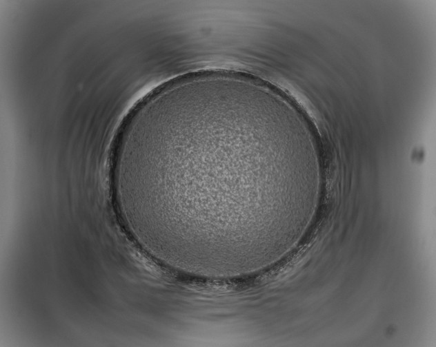 X0000100190975200806061254