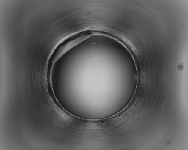 X0000100190976200806061254