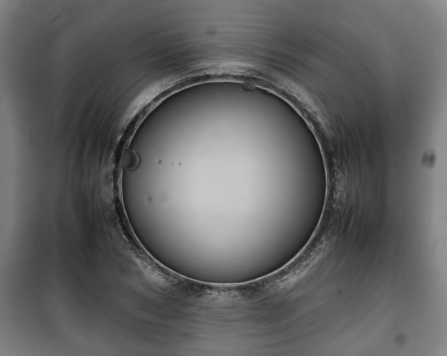 X0000100190978200806061254